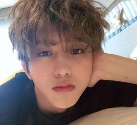 爆料娱乐圈朴智旻百度云,揭秘明星私生活与粉丝互动幕后故事